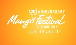 mango-festival-event-banner